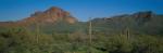 Panoramic-Arizona 55-01-00035