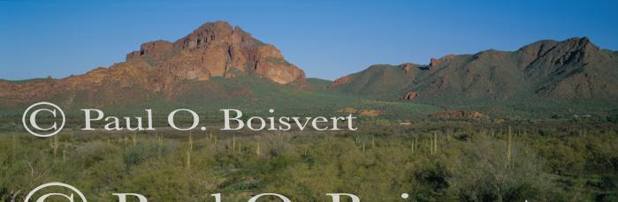 Panoramic-Arizona 55-01-00036