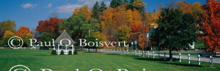 Panoramic-Fall 55-02-00011