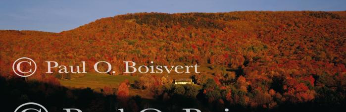 Panoramic-Fall 55-02-00035