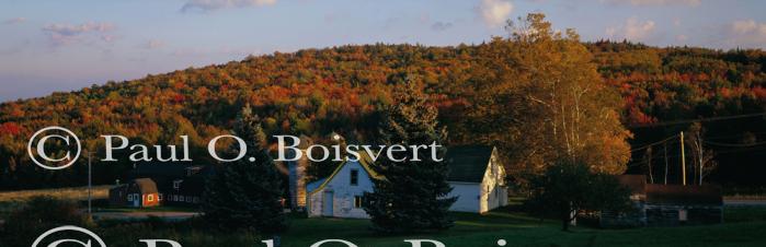 Panoramic-Fall 55-02-00047