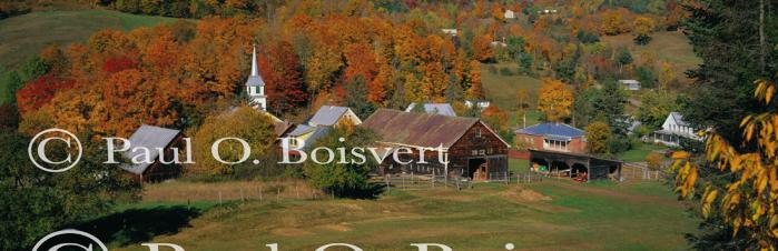 Panoramic-Fall 55-02-00057