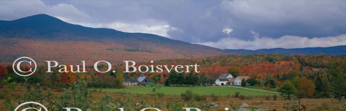 Panoramic-Fall 55-02-00060