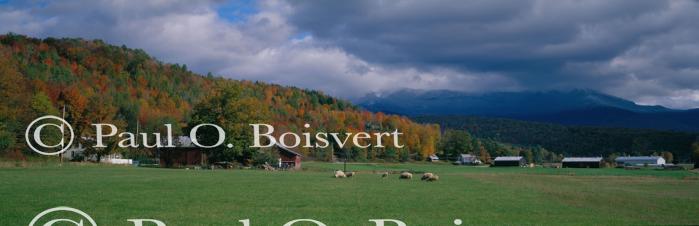 Panoramic-Fall 55-02-00065