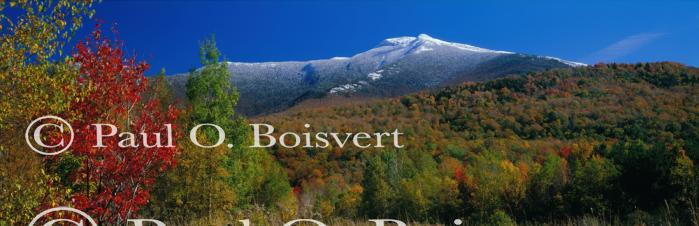 Panoramic-Fall 55-02-00066