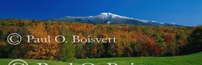 Panoramic-Fall 55-02-00068