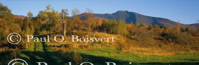 Panoramic-Fall 55-02-00070