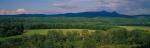 Panoramic-Summer 55-06-00010