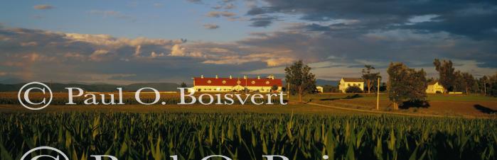 Panoramic-Summer 55-06-00040