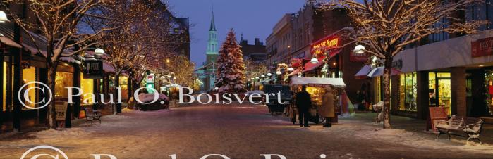 Panoramic-Winter 55-08-00001