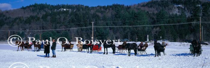 Panoramic-Winter 55-08-00021