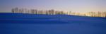 Panoramic-Winter 55-08-00033