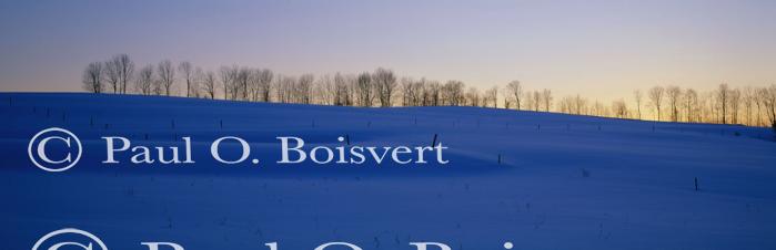 Panoramic-Winter 55-08-00033