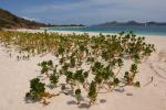 St Croix US Virgin Islands