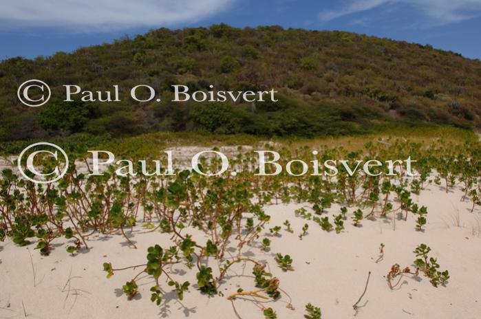 St. Croix 90-50-00019