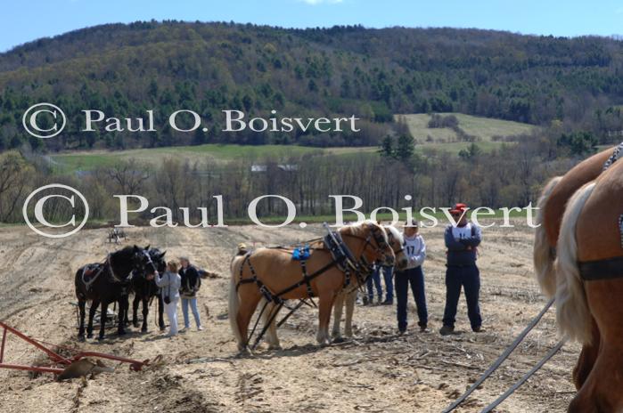 Billings Farm-Plowing Match 65-03-00010