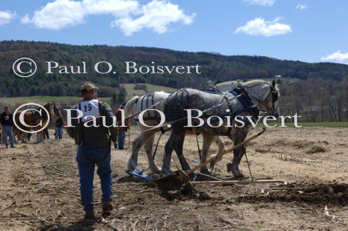 Billings Farm-Plowing Match 65-03-00011