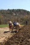 Billings Farm-Plowing Match 65-03-00014