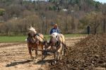 Billings Farm-Plowing Match 65-03-00015