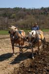 Billings Farm-Plowing Match 65-03-00016