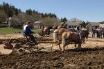 Billings Farm-Plowing Match 65-03-00023