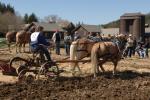 Billings Farm-Plowing Match 65-03-00024