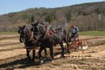 Billings Farm-Plowing Match 65-03-00026