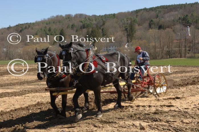Billings Farm-Plowing Match 65-03-00026