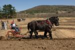 Billings Farm-Plowing Match 65-03-00028
