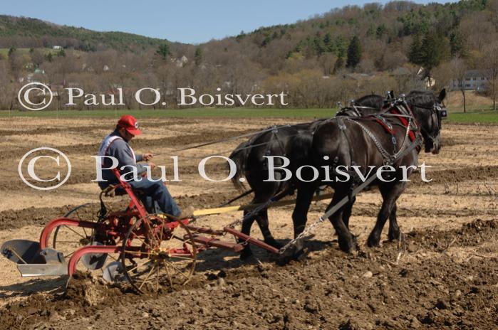 Billings Farm-Plowing Match 65-03-00030