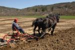 Billings Farm-Plowing Match 65-03-00031