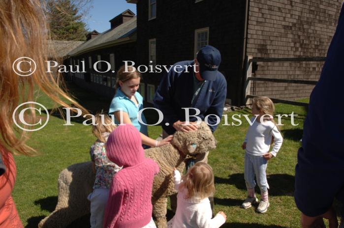 Billings Farm-Plowing Match 65-03-00032