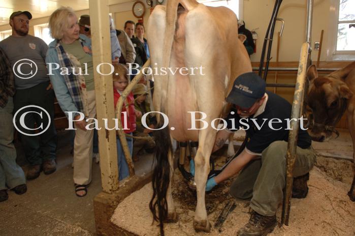 Billings Farm-Plowing Match 65-03-00033