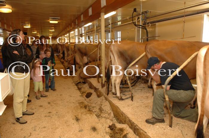 Billings Farm-Plowing Match 65-03-00034