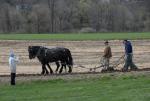 Billings Farm-Plowing Match 65-03-00035