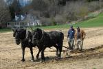 Billings Farm-Plowing Match 65-03-00036