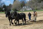 Billings Farm-Plowing Match 65-03-00037