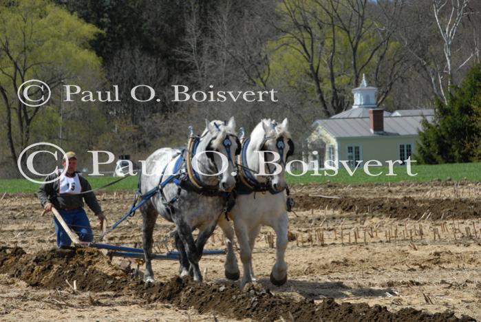 Billings Farm-Plowing Match 65-03-00050