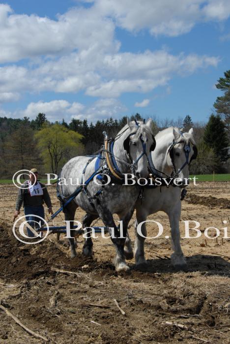 Billings Farm-Plowing Match 65-03-00056