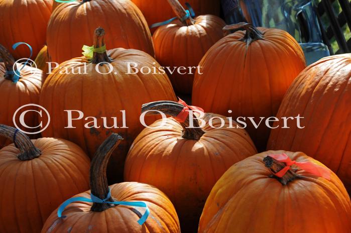 Farm-Garden 30-15-02298