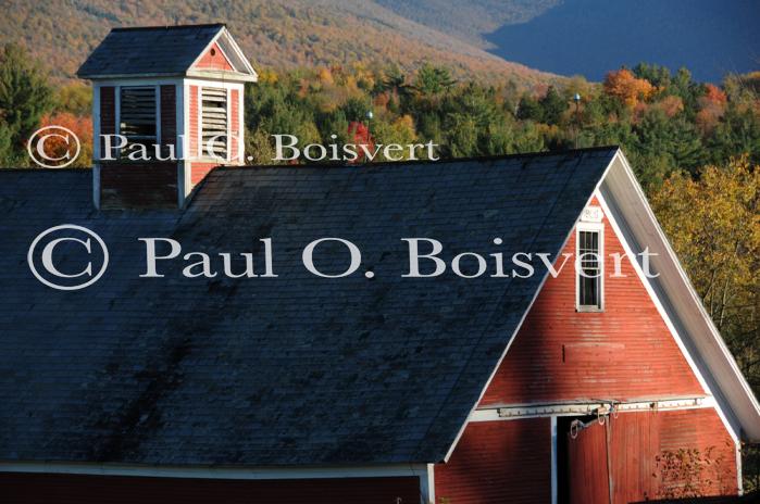 Architectural-Fall 10-10-01544