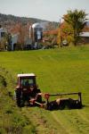 Farm-Fall 30-10-07352