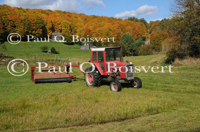 Farm-Fall 30-10-07355