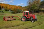 Farm-Fall 30-10-07356