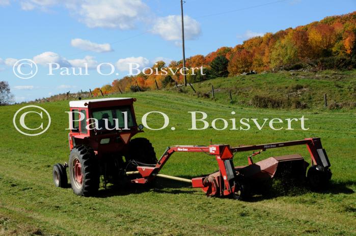 Farm-Fall 30-10-07359