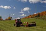 Farm-Fall 30-10-07361