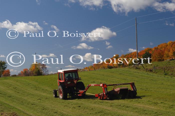 Farm-Fall 30-10-07361