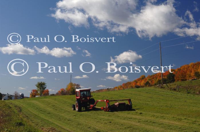 Farm-Fall 30-10-07362