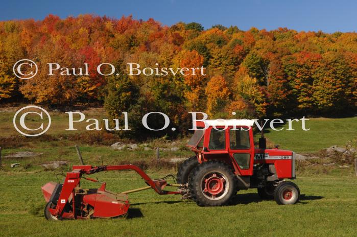 Farm-Fall 30-10-07363