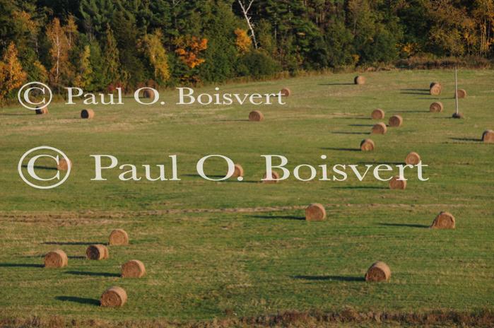 Scenery-Fall 70-05-14449